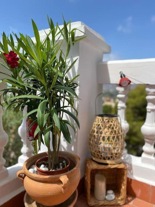 Precioso Apartamento Mandarinos Con Vistas Al Mar Нерха Экстерьер фото